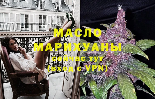 тгк Абаза