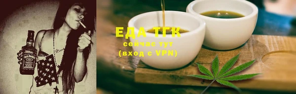 тгк Абаза