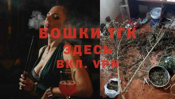 тгк Абаза